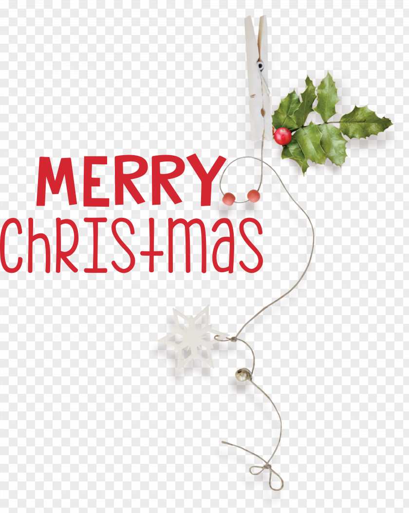 Christmas Day PNG