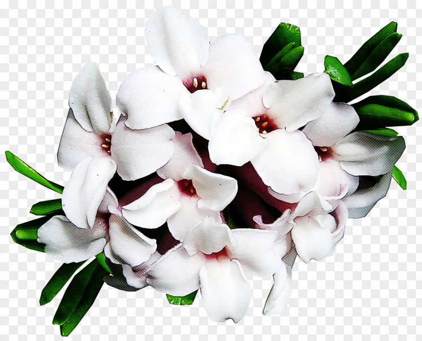 Flower Bouquet PNG