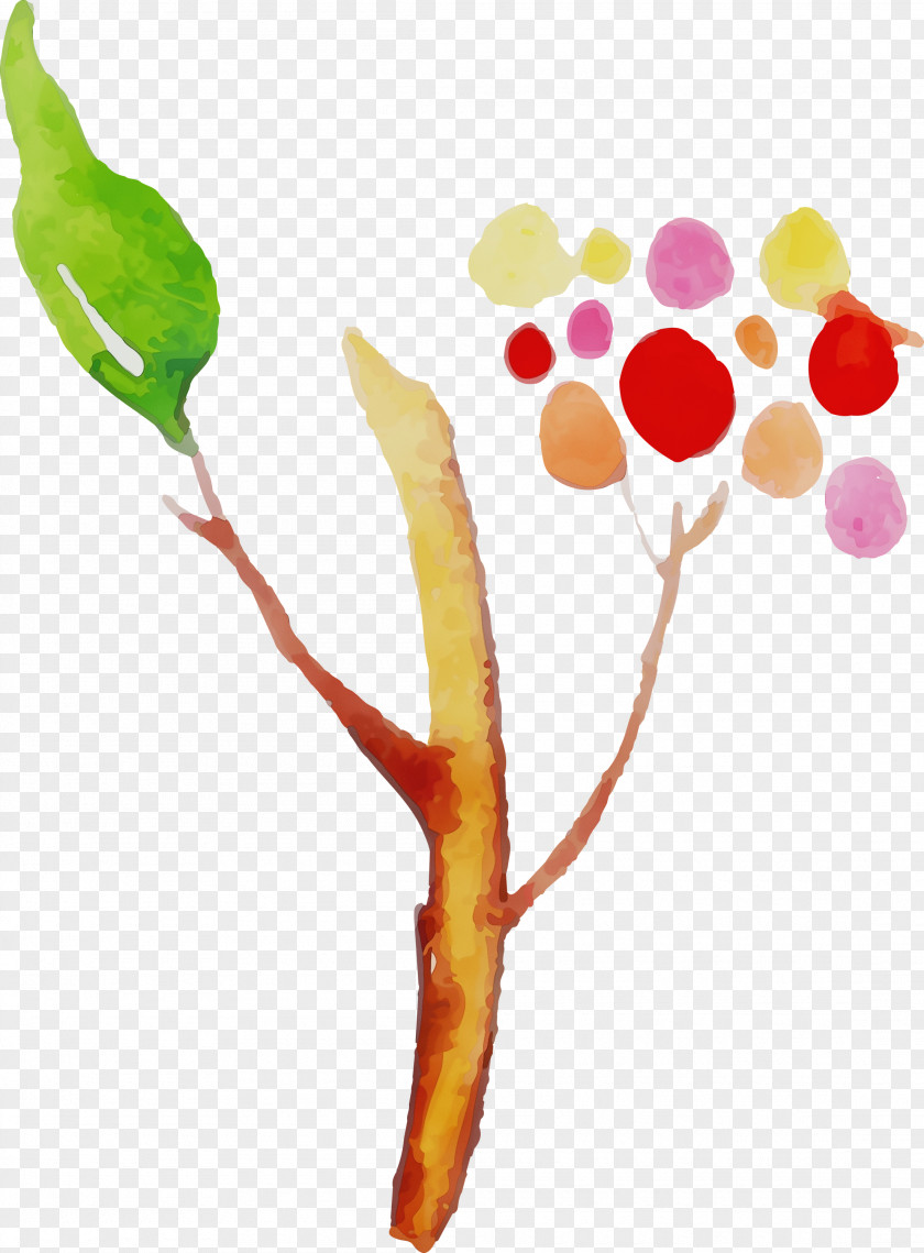 Vegetable Fruit PNG