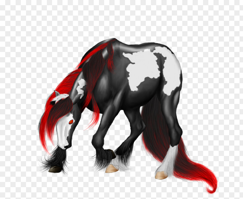 Mustang Stallion Pony Mane Pack Animal PNG