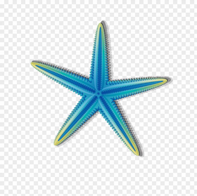 Starfish Pattern Hawaii Royalty-free Stock Photography PNG