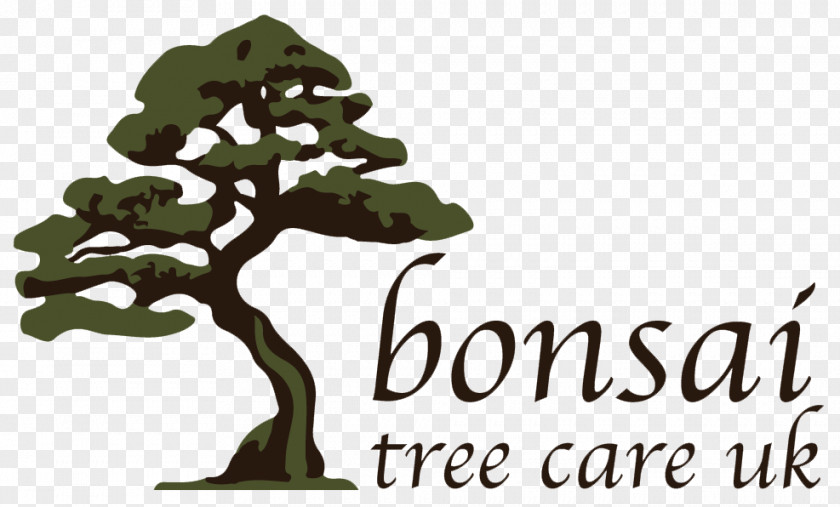 Tree The Living Art Of Bonsai Logo Waterboard Me PNG