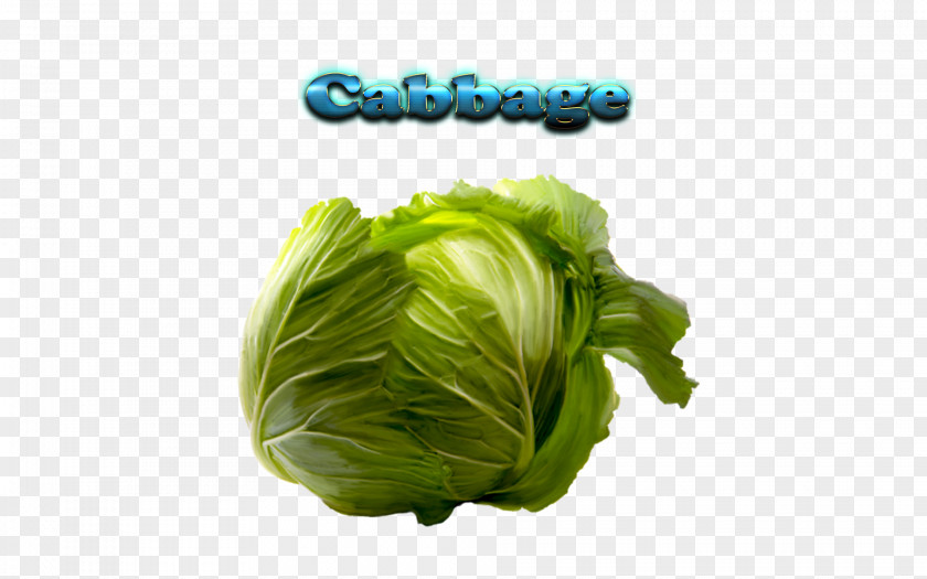 Cabbagehd Romaine Lettuce Cabbage Collard Greens Cruciferous Vegetables Spring PNG
