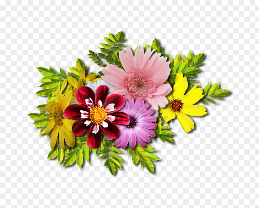 Flower Cut Flowers Floral Design Image Bouquet PNG