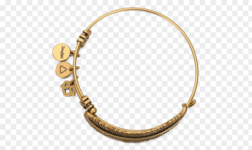 Jewellery Bracelet Bangle 01504 Necklace PNG