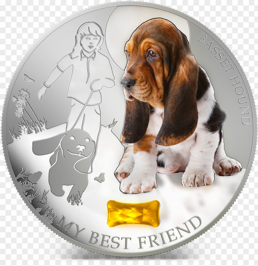 Puppy Basset Hound Treeing Walker Coonhound Dog Breed PNG