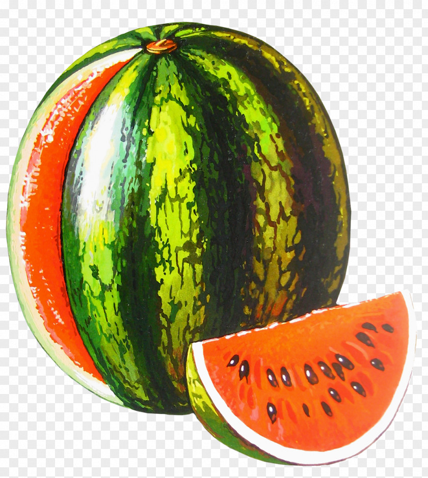 Watermelon Letter Alphabet Word Vowel Class PNG