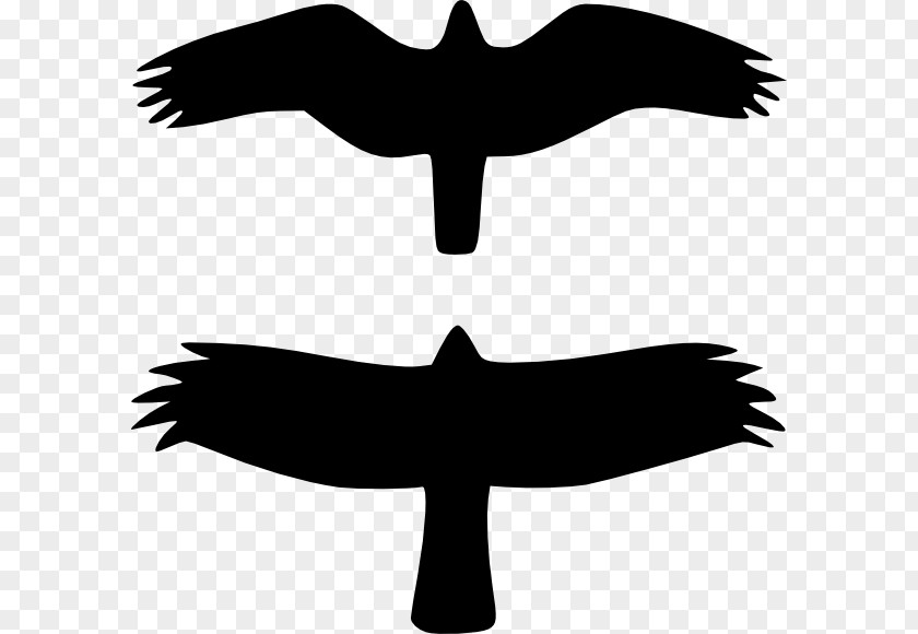 Bird Of Prey Bald Eagle Silhouette Clip Art PNG