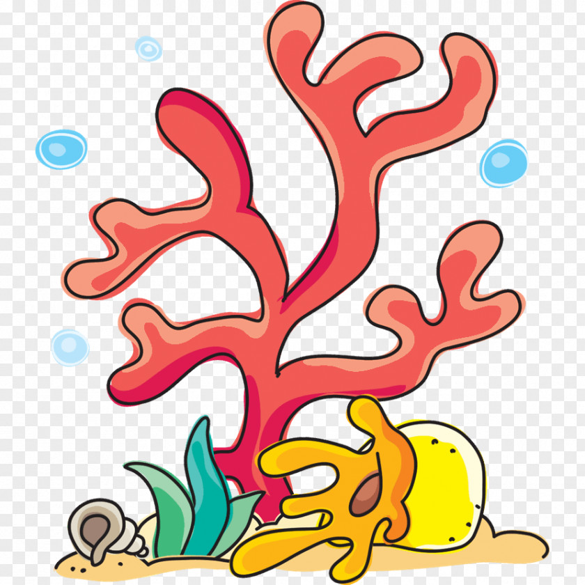 Coral Cartoon Sticker Wall Decal Anthozoa Child PNG
