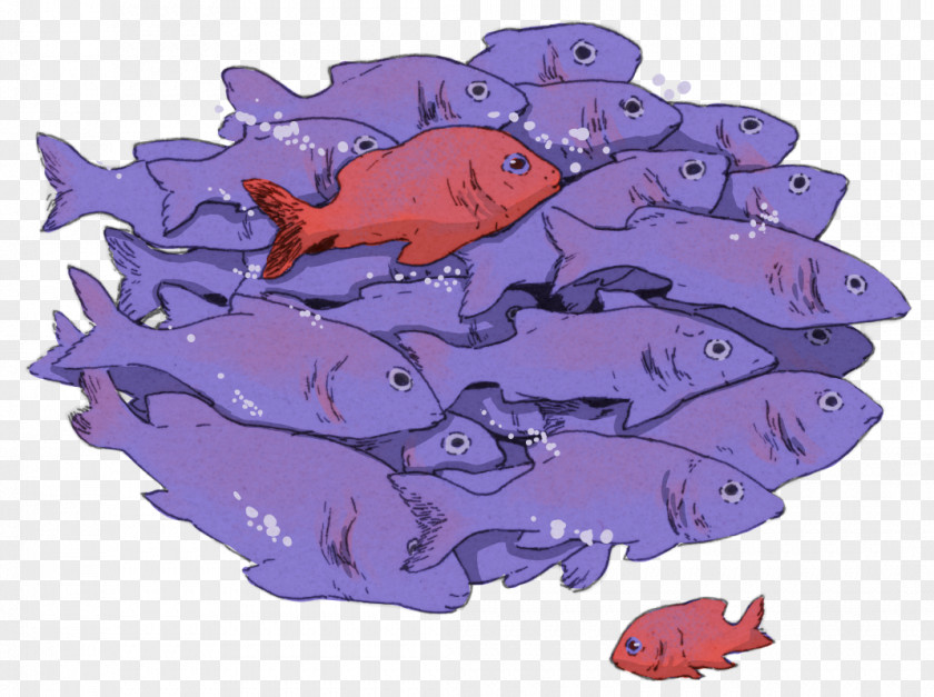 Fish Marine Biology Mammal Cartoon PNG