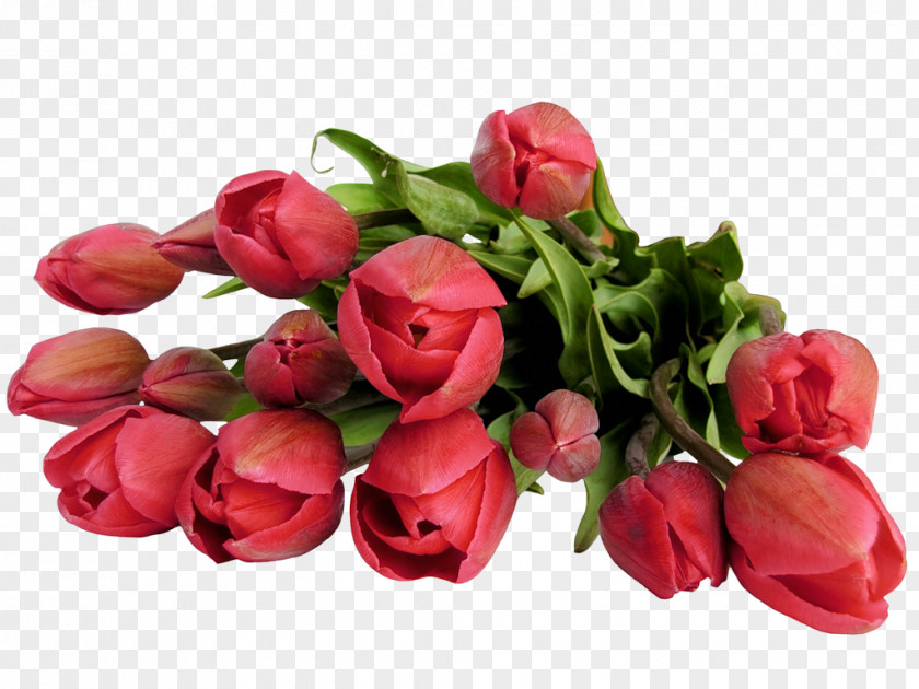 Flower Bouquet Tulip Clip Art PNG