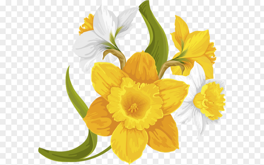 Flower Daffodil Floral Design Cut Flowers Yellow PNG