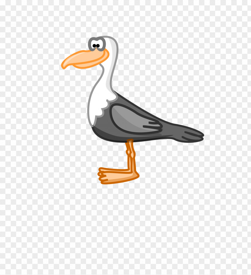 Flying Bird Silhouette Cartoon Duck Euclidean Vector Download PNG