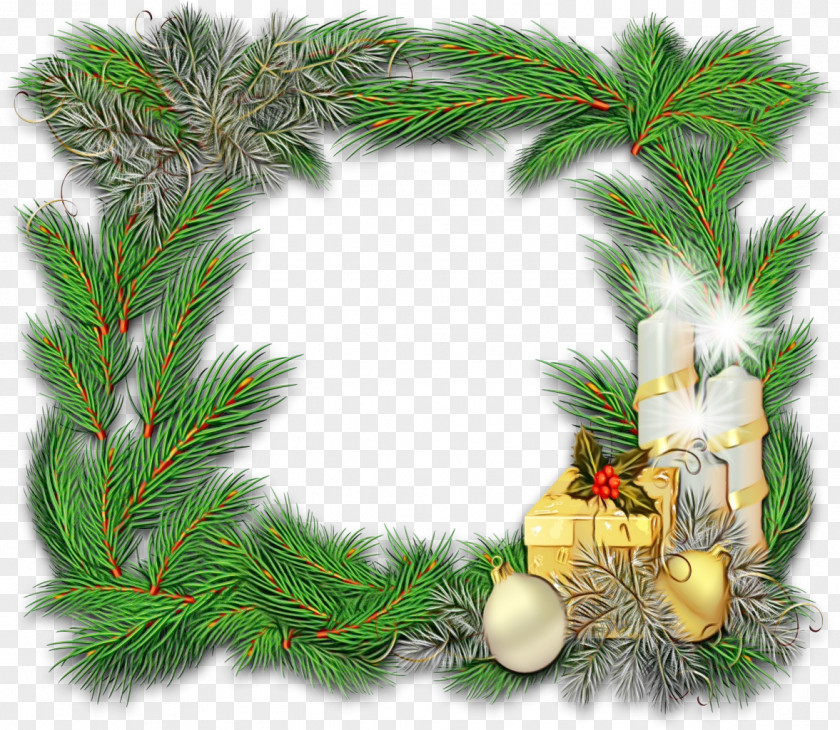 Pine Family Fir Christmas Decoration PNG