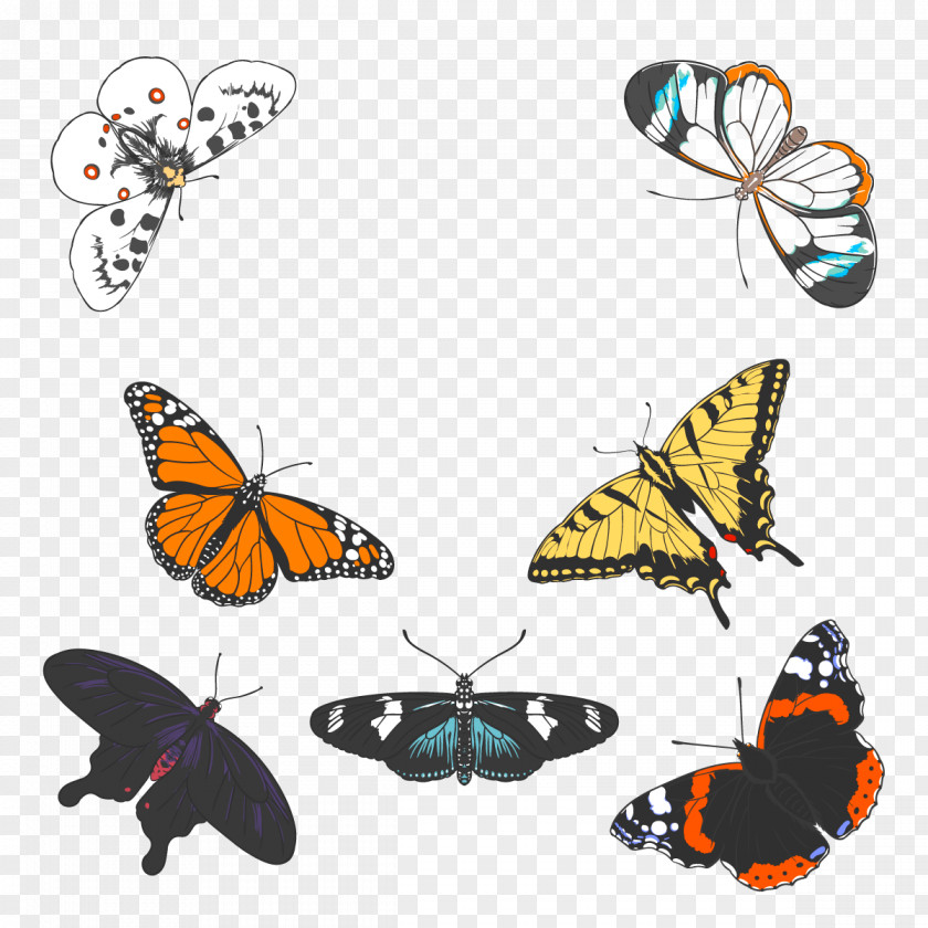 Vector Butterfly Monarch Insect PNG