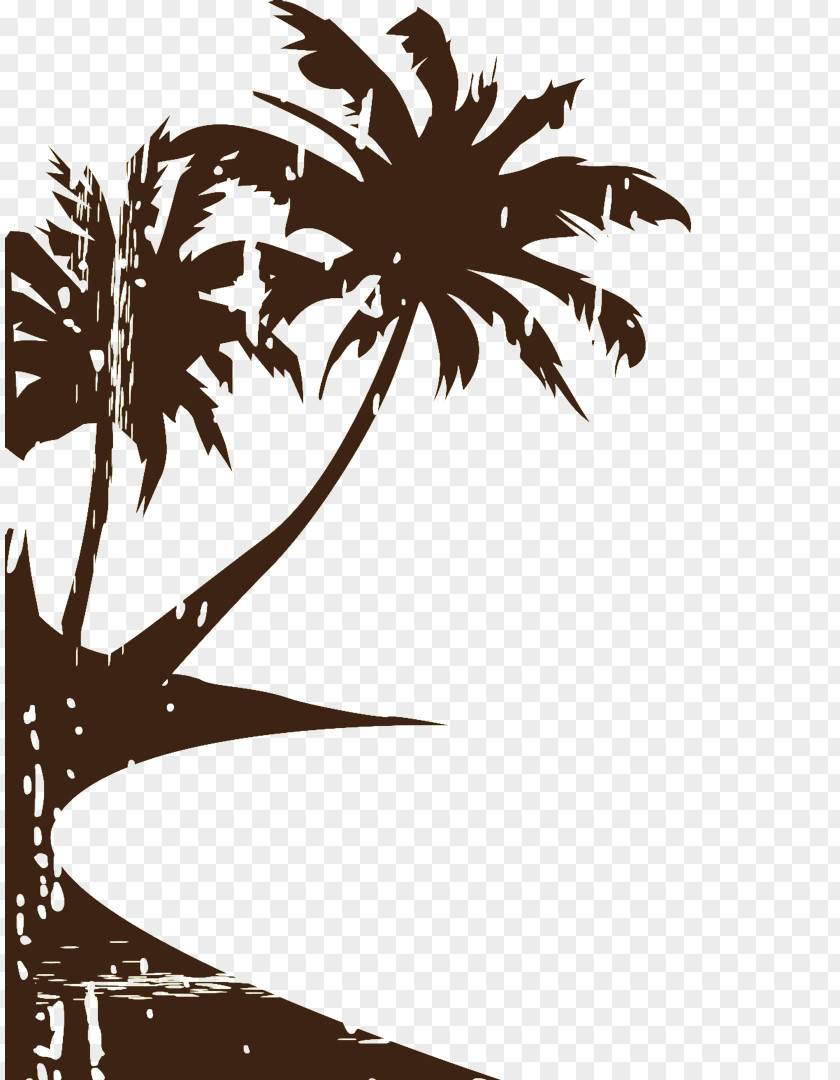 Beach Arecaceae Ocean Seaside Resort PNG