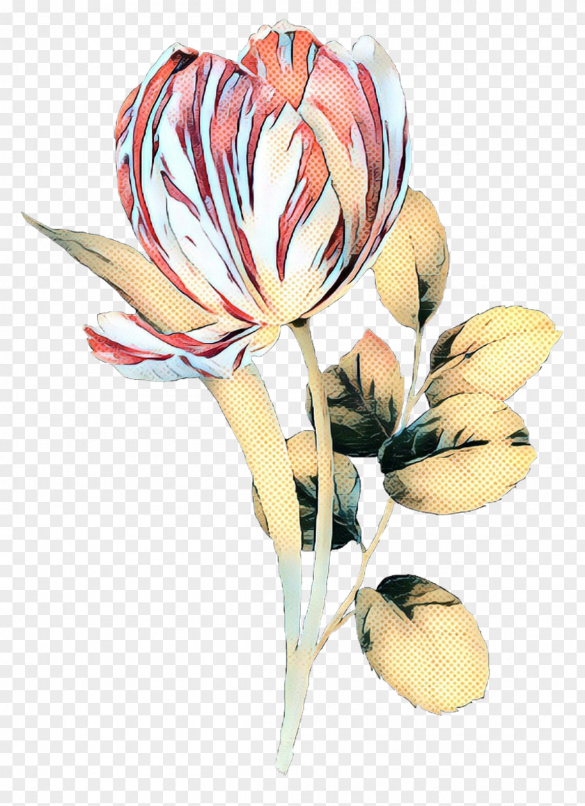 Bud Plant Stem Lily Flower Cartoon PNG