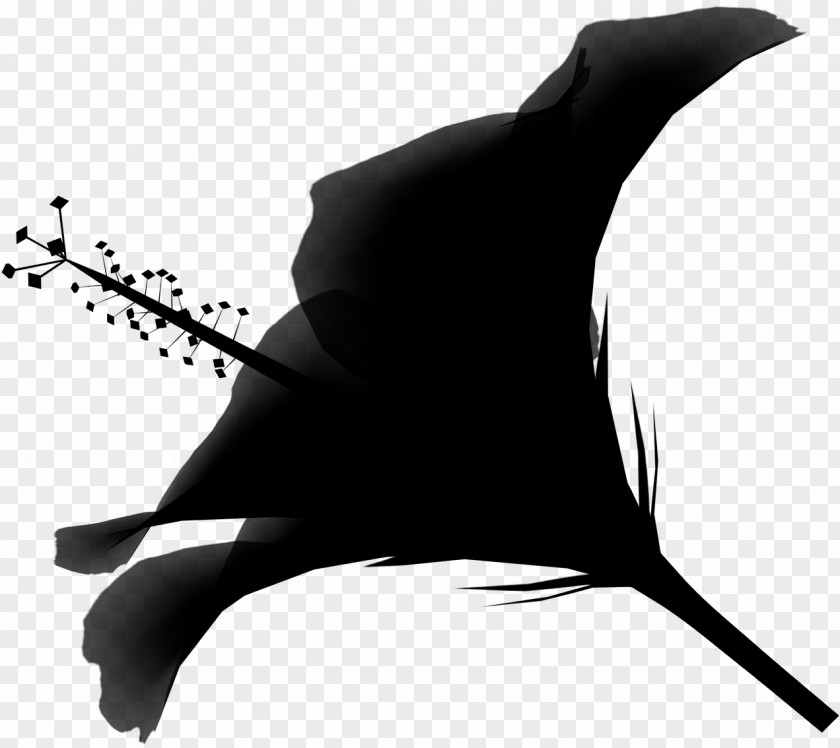 Clip Art Silhouette Black M PNG