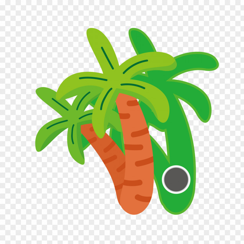 Coconut Illustration Vector Graphics Clip Art PNG