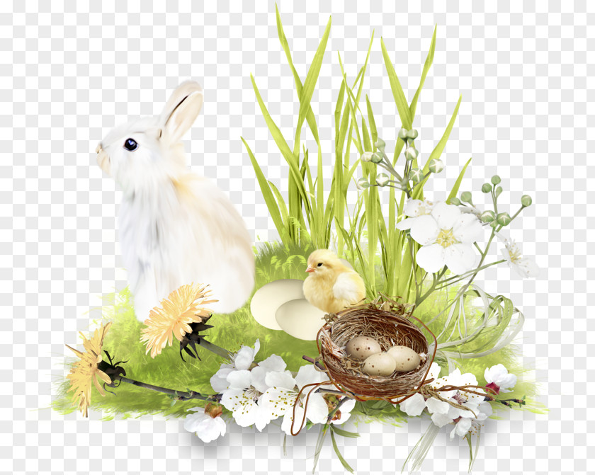 Easter Bunny Domestic Rabbit Scrapbooking Egg PNG