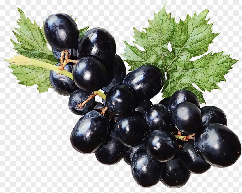 Grape Zante Currant Blueberry Vegetarian Cuisine Bilberry PNG