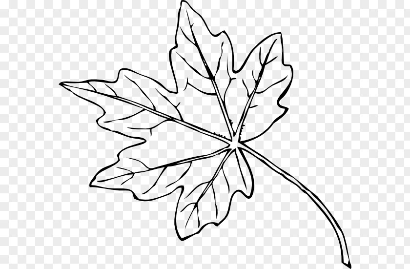 Japanese Maple Cliparts Leaf Yellow Clip Art PNG