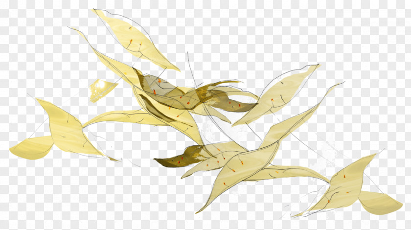 Leaf Flower PNG