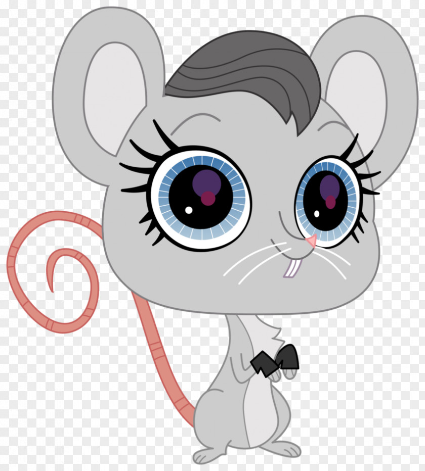 Mouse Whiskers Cat Image Drawing PNG