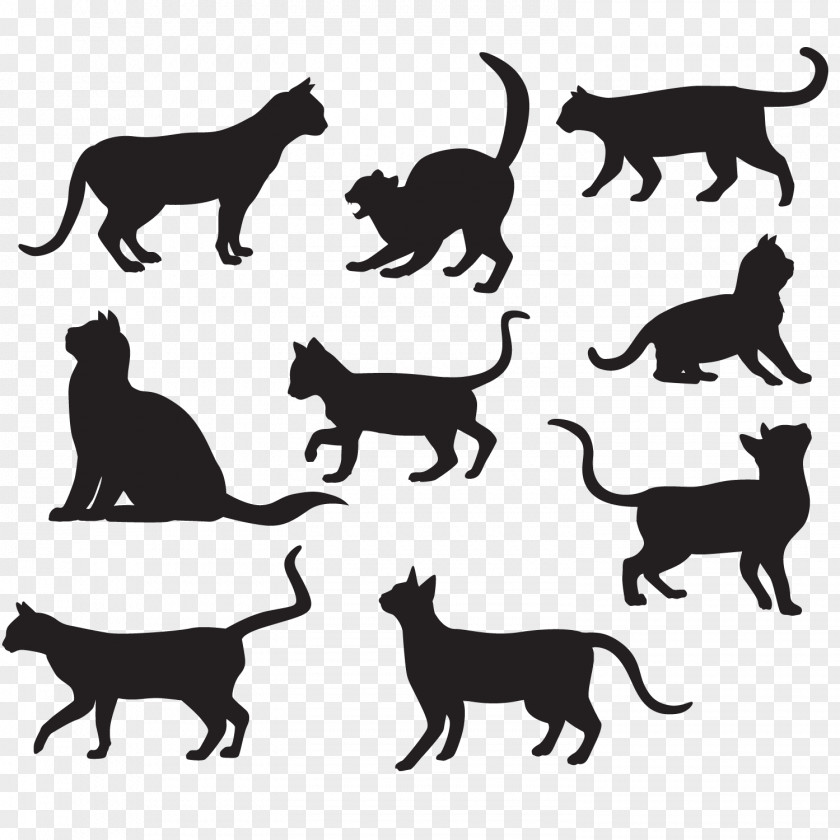 Pet Cat Silhouette Vector Material Poster Illustration PNG