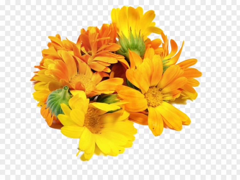 A Bunch Of Marigolds Mexican Marigold Floral Design Flower Calendula Officinalis PNG