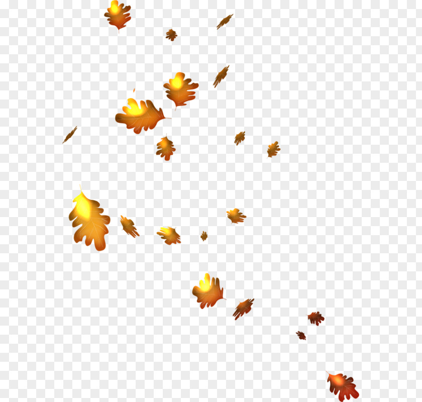 Autumn Leaf Season Summer PNG