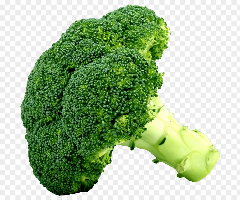 Broccoli Slaw Cruciferous Vegetables Food PNG