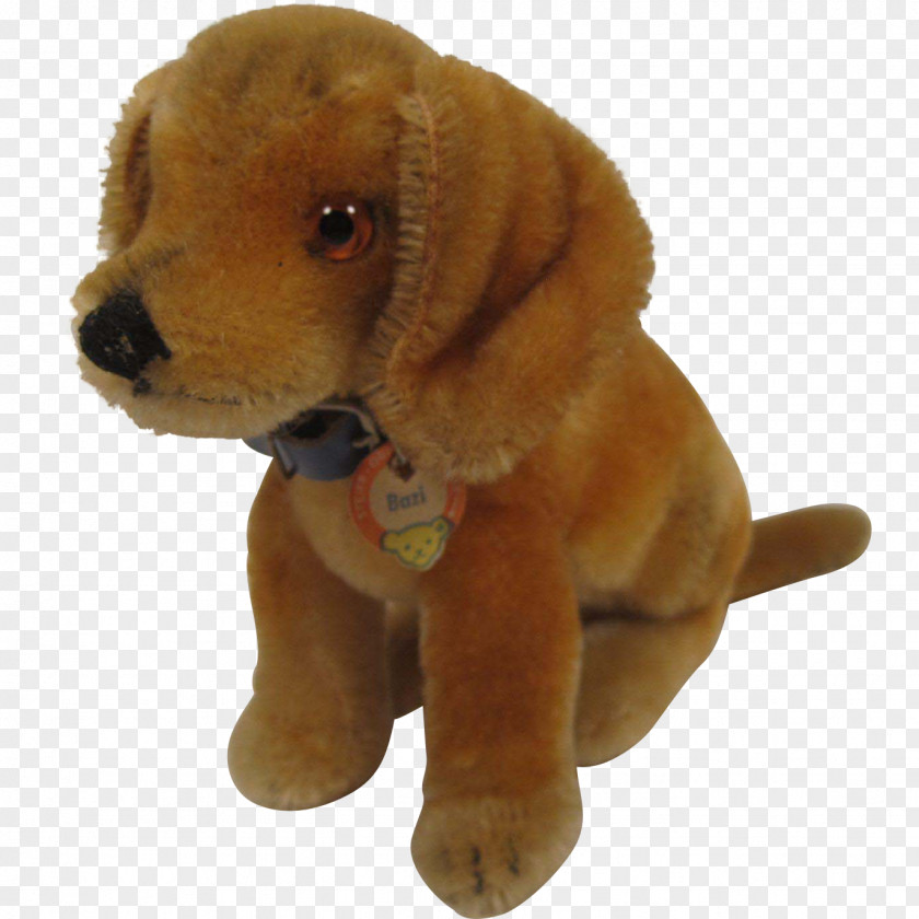 Puppy Dog Breed Sporting Group Retriever Companion PNG