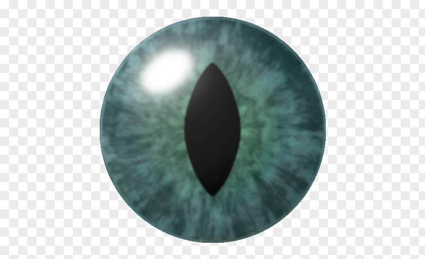 Eye Of Ender Minecraft Mods Video Game Parallel Universes In Fiction PNG