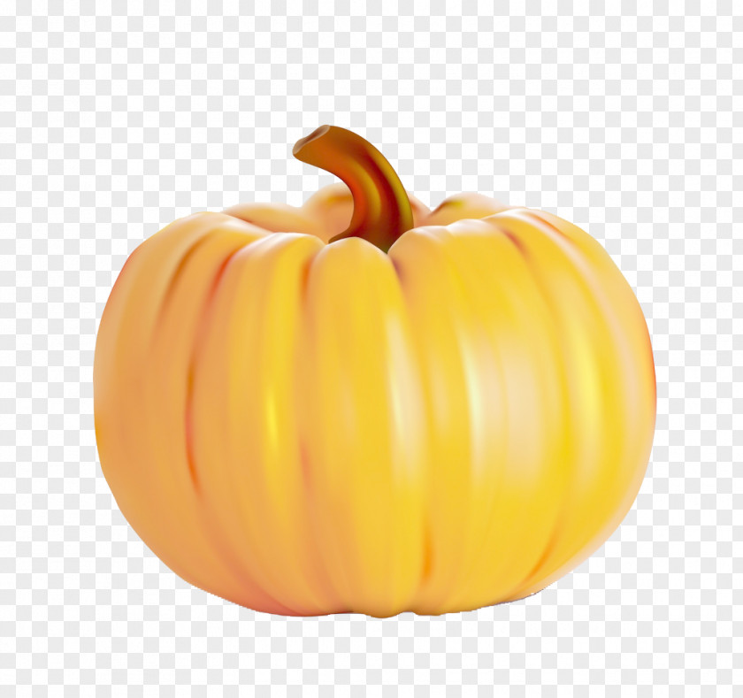 Golden Pumpkin Calabaza Thanksgiving PNG