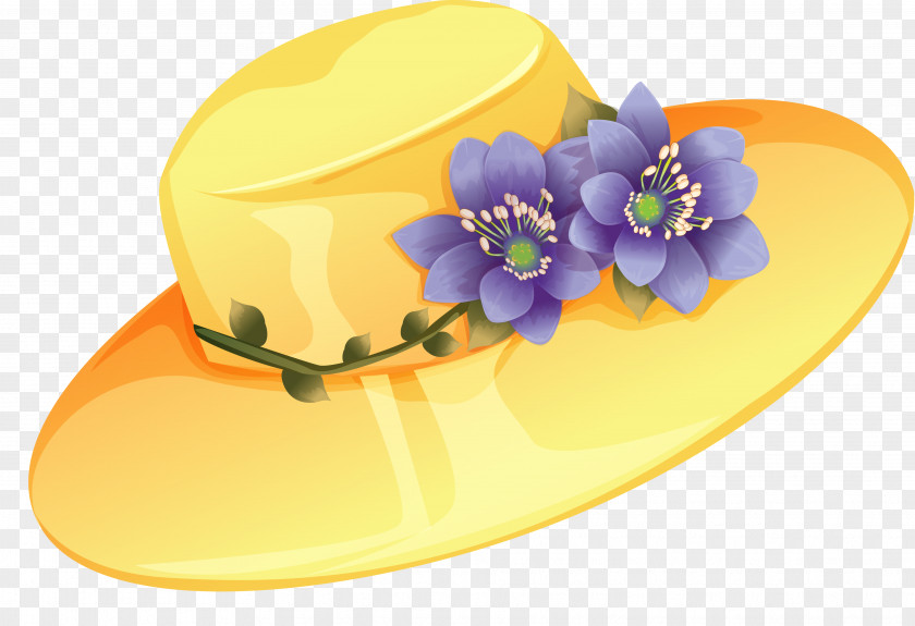 Hats Straw Hat Animation Photography Drawing PNG