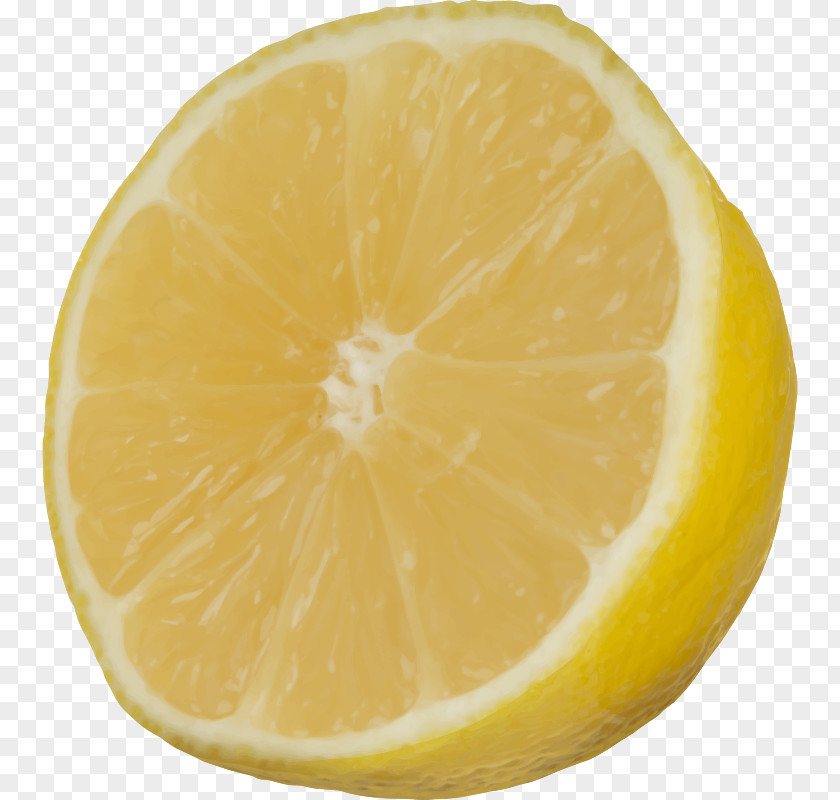 Lime Fruit Lemon Orange Grapefruit Rangpur PNG