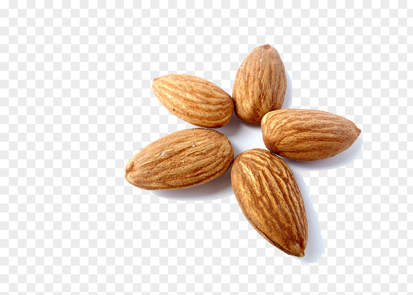 Peeled Almonds Almond Milk Nut Peel Eating PNG