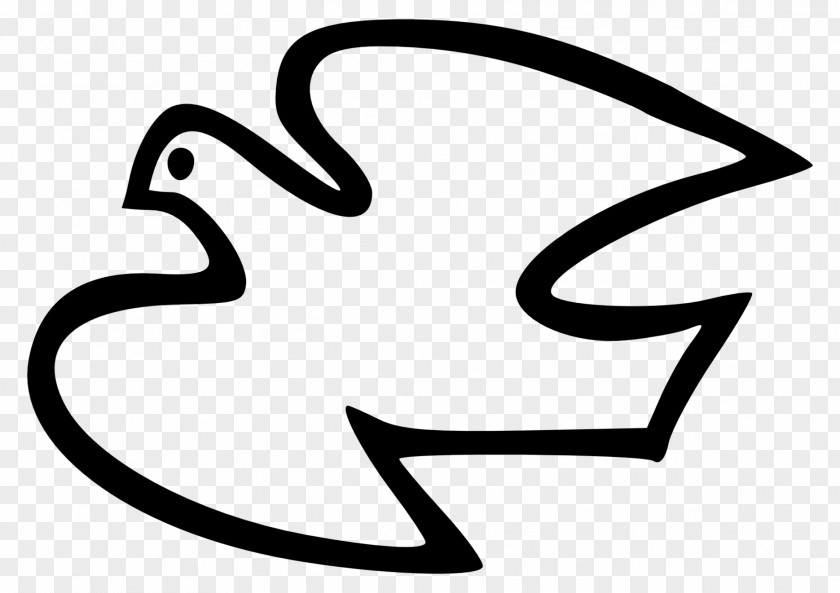 White Pigeons Columbidae Clip Art PNG