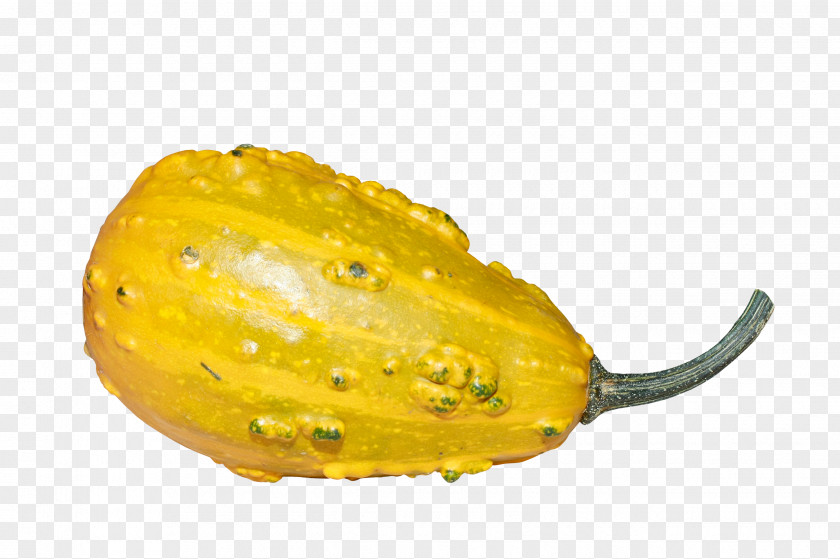 Yellow Oval Pumpkin Calabaza Horned Melon Gourd Winter Squash PNG