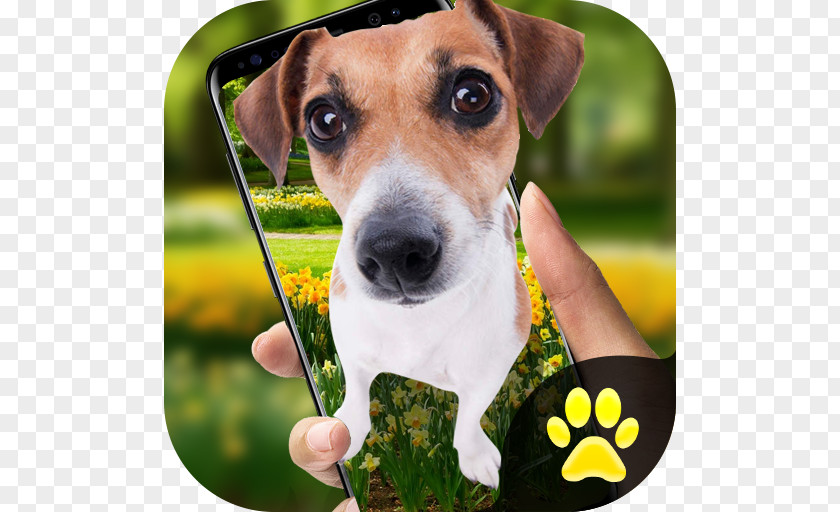 Android IPhone X Rules Of Survival Dog Breed PNG