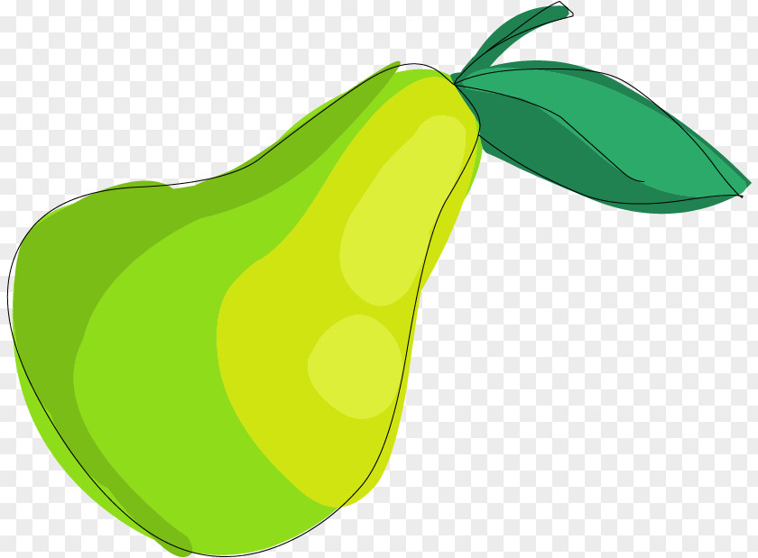 Cartoon Pears Pear Drawing Clip Art PNG