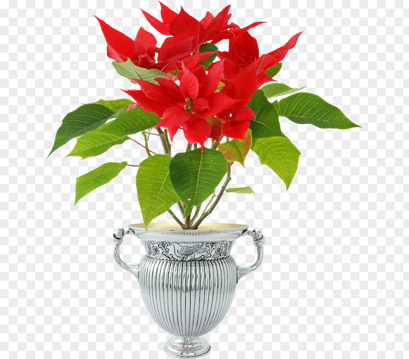 Christmas Flowerpot Floral Design PNG