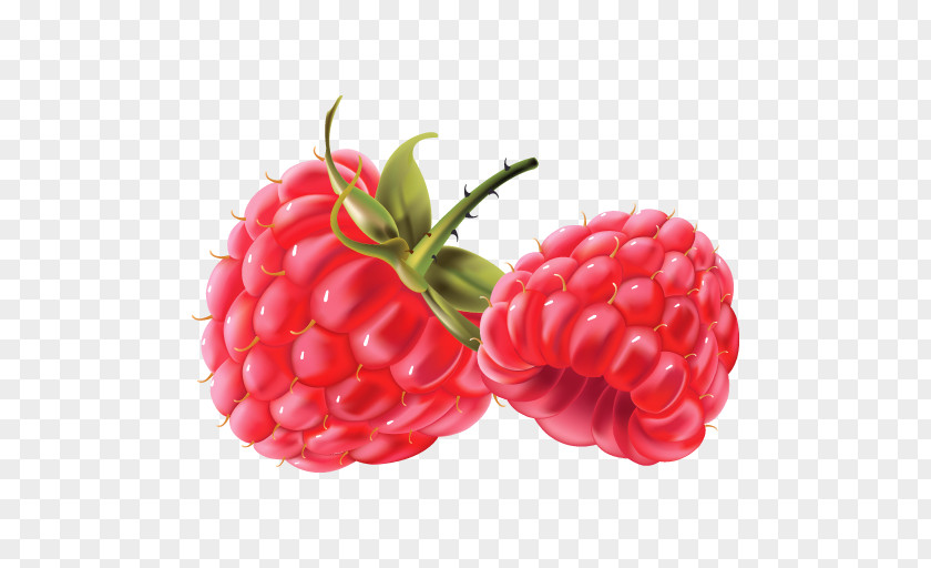 Cloudy Blue Raspberry Flavor Berries Clip Art Fruit PNG