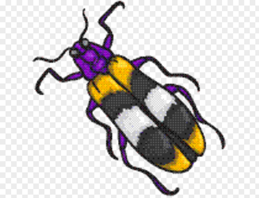 Jewel Beetles Arthropod Bumblebee PNG