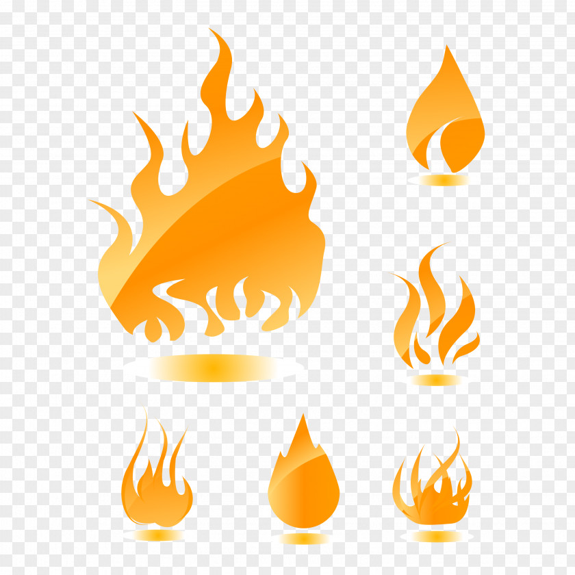 Morphological Map Of Different Flames Flame Euclidean Vector Royalty-free Clip Art PNG