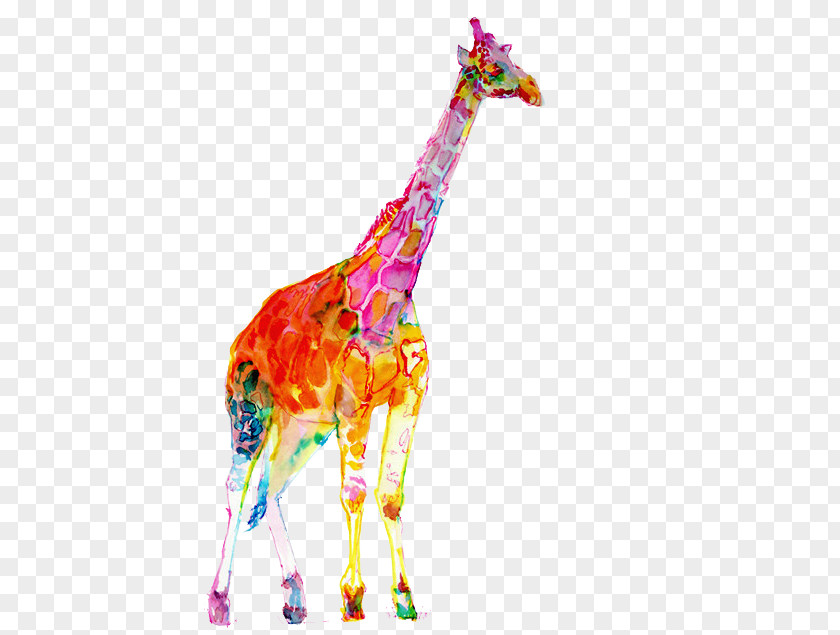 Painting Watercolor Northern Giraffe PNG