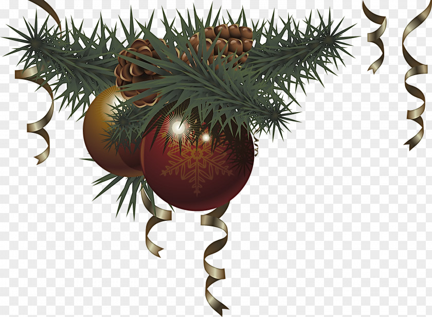 Pine Family Christmas Ornament PNG