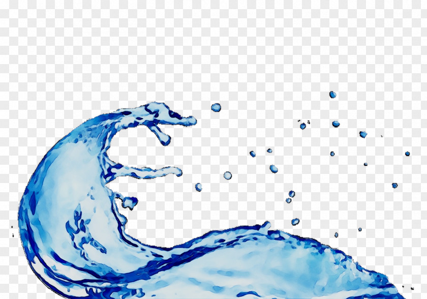Water Resources Organism Font Sky PNG
