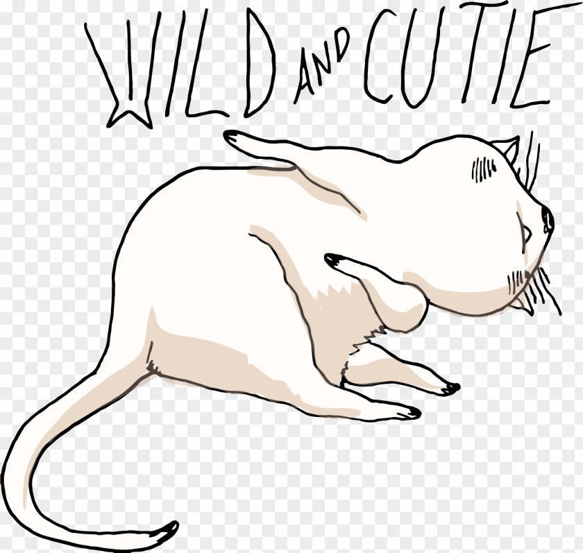 White Cat Vector Whiskers Clip Art PNG